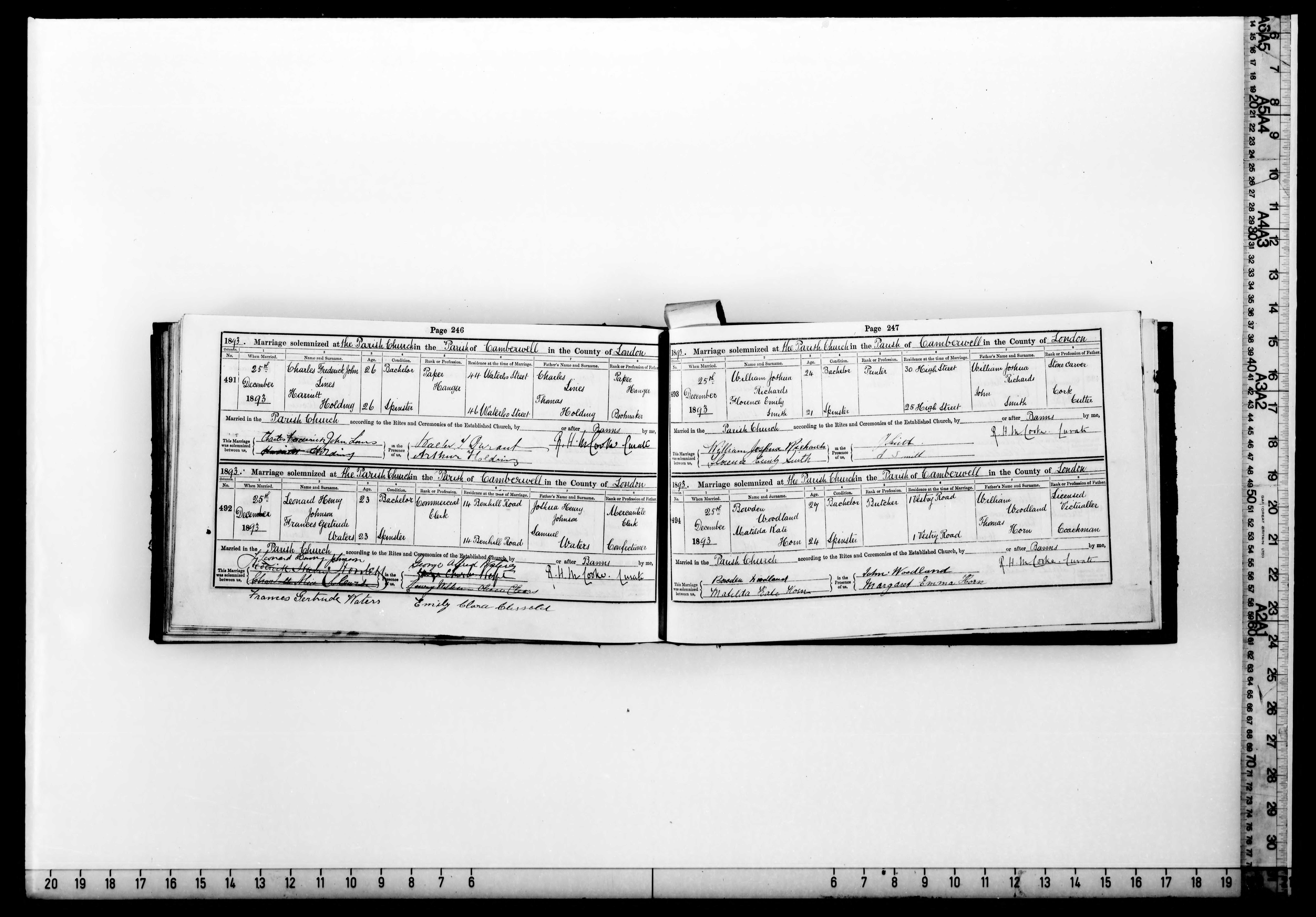 Bowden Woodland Marrige